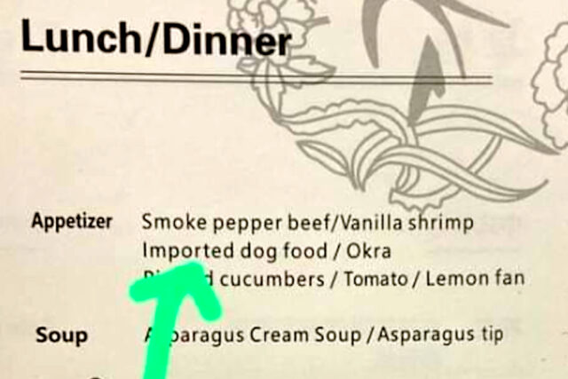 Chinese Airline Serves ‘Dog Food’ To Shocked Business Class Passengers